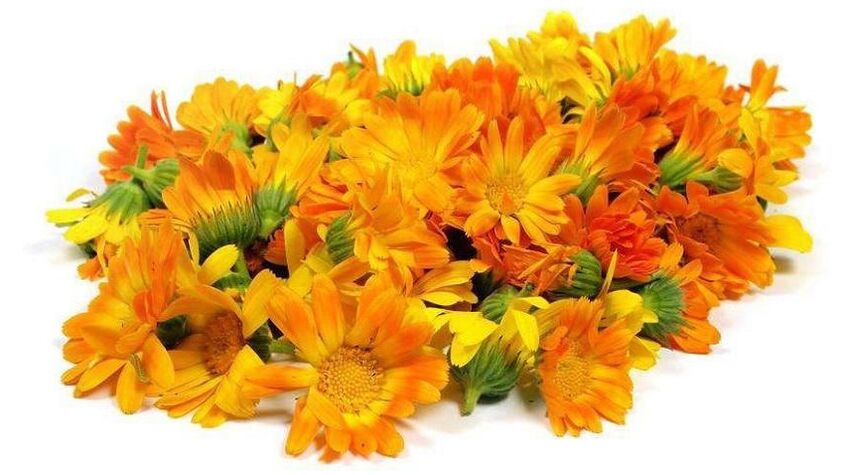 Extrait de calendula en valeur zxcvbnmq